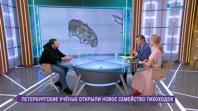 Петербургские учёные помогли обнаружить новое семейство тихоходок смотреть онлайн