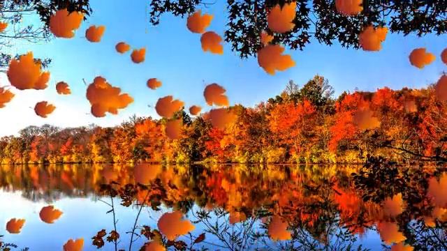 Ошо - Проявление праны в семи телах. смотреть онлайн