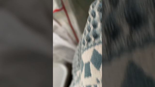 Надеюсь что последний стриж за этот год . Мопс ГуфФи I hope that the last swift for this year . Pug смотреть онлайн