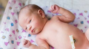 ПУПОВИНА ПОСЛЕ РОДОВ | Перерезание, перевязка или пережатие пуповины после родов