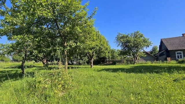 Медитация для исполнения задуманного. Целитель Лана смотреть онлайн