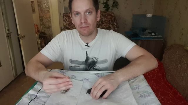 Нелётный стриж - это самая несчастная птица на свете смотреть онлайн