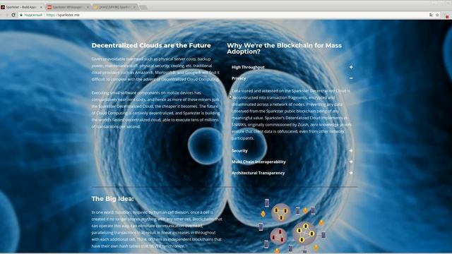 Sparkster - обзор проекта. (author Burmik123) смотреть онлайн