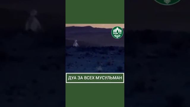 дуа за всех мусульман смотреть онлайн