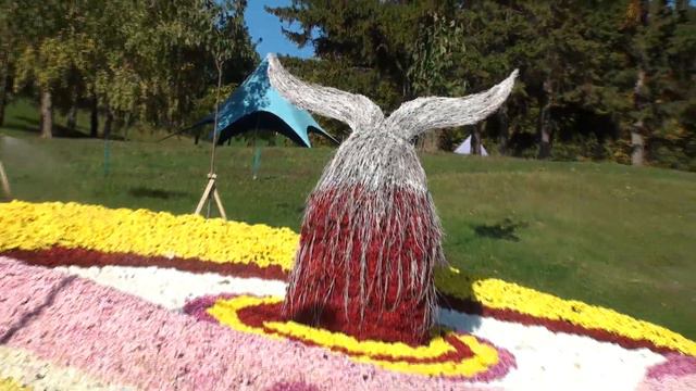 співоче поле хризантеми 2019 смотреть онлайн