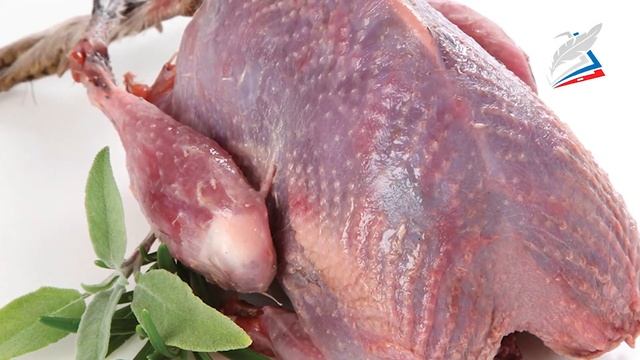 Технологии обработки мяса птицы смотреть онлайн