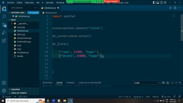 SQLITE con PYTHON смотреть онлайн