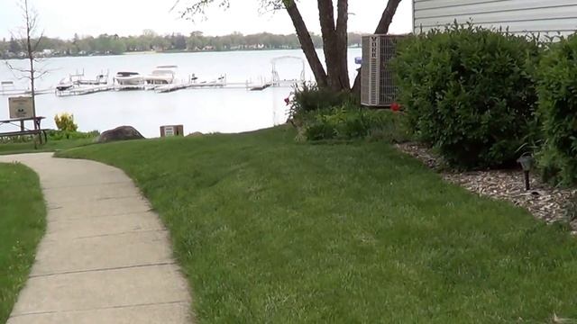 Майские цветущие деревья в американской деревне