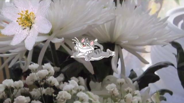 Белые цветы ( Александр Шапиро) смотреть онлайн