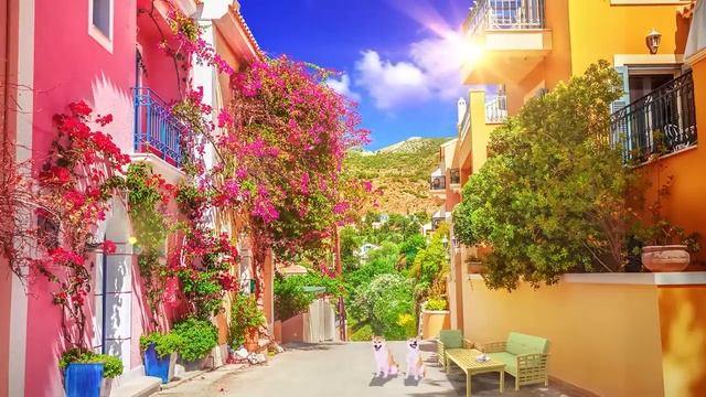 Greece Morning Coffee Shop Ambience with Bosa Nova Music for Good Mood Start the Day смотреть онлайн