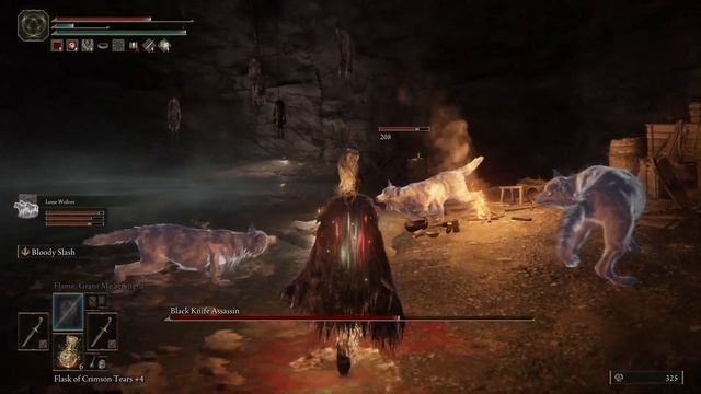Elden Ring: Sage's Cave Black Knife Assassin смотреть онлайн