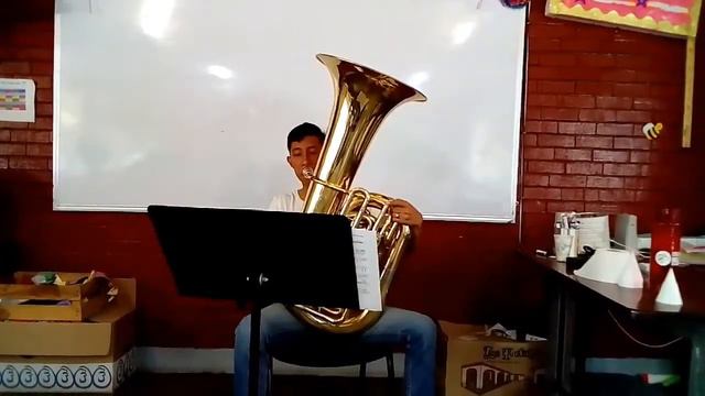 Audición OSIM 2017- Tuba- Raymundo Barraza Gomez смотреть онлайн