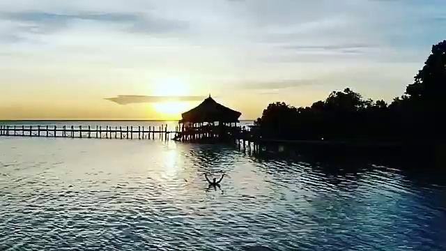 Pemba Island ( TANZANIA ) смотреть онлайн