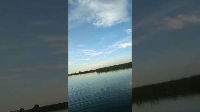 Рыбалка в Кургане по Узбекски. смотреть онлайн