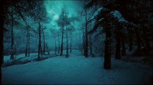 Сказочная ночная метель в старом лесу которая обязательно поможет вам избавится от бессонницы