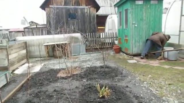 Дача - 1 мая 2019 смотреть онлайн