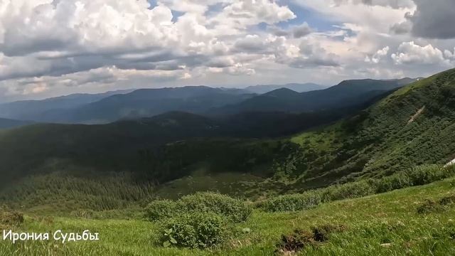 Нашёл ночью в лесу замёрзшую малышку, а на утро в дом постучали... смотреть онлайн