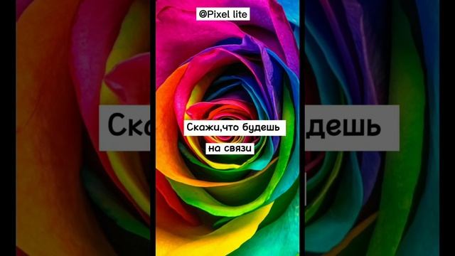 Сделай Себя Лучше