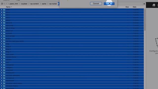 WP Rocket - Manuallly Clear The Cache смотреть онлайн