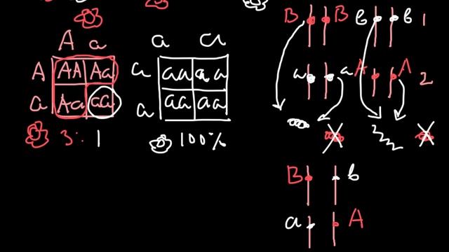 What is Gene Complementation Group? смотреть онлайн