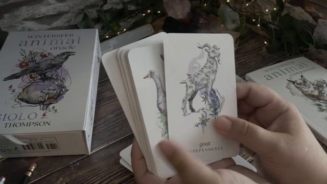 Winterseer Animal Oracle by Siolo Thompson Unboxing and Review смотреть онлайн