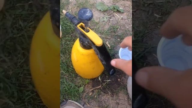 Инсектицид АКТАРА обработка по листу