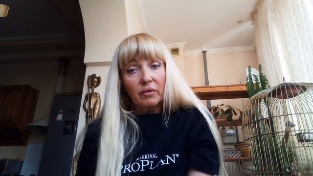 Консультация "Высокая самооценка-залог развития ребенка-лидера" от педагога-психолога Юрьевой С.Н. смотреть онлайн