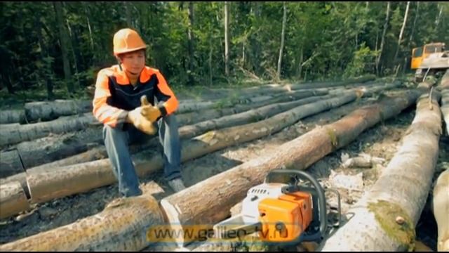 Галилео. Найди себе работу. Кукловод и лесоруб смотреть онлайн