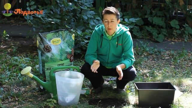 Посадка молодых саженцев осенью смотреть онлайн