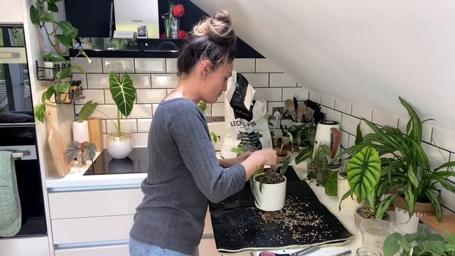 Chilled Chatty Plant Chores 💚 Transferring Plants To Pon + Exciting Updates 🌱 смотреть онлайн