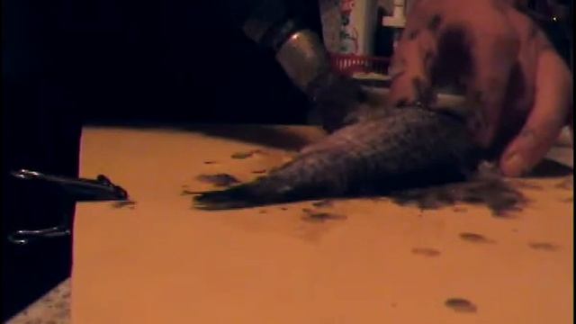 Как почистить рыбу . смотреть онлайн