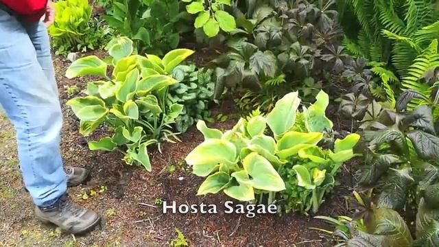 The Excitement & Vagaries of Spring смотреть онлайн