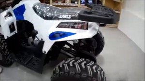 Обзор квадроцикла Motoland Eagle 110