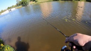 Мормышинг. Тестирование Yamatoyo Light Game PE Х4 #0,2