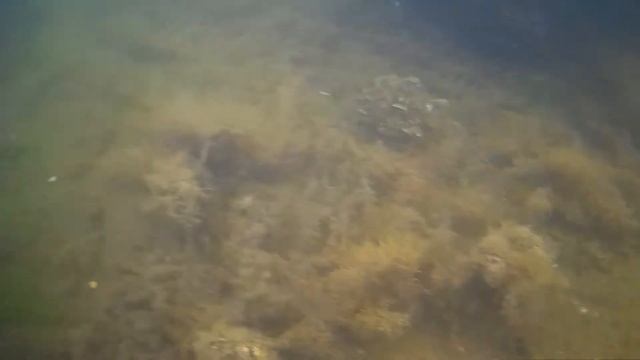 затонувший корабль на Донузлаве смотреть онлайн
