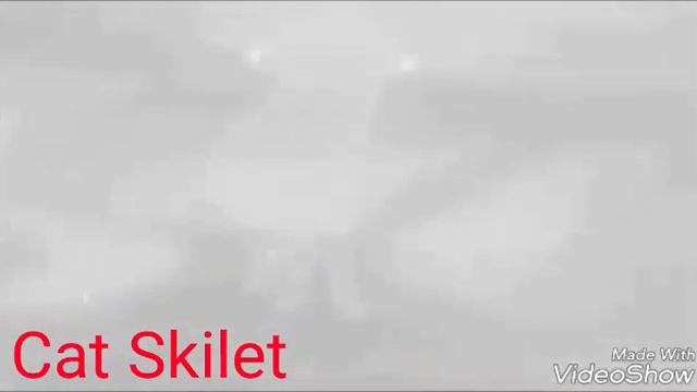 ❤ Коты Воители . Белогривка и Остролап 💔 смотреть онлайн