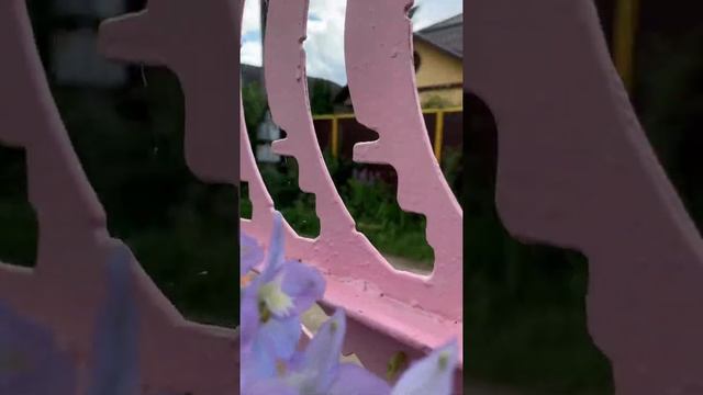 Пастельные Фиолетовые Цветы // Pastel Purple Flowers смотреть онлайн