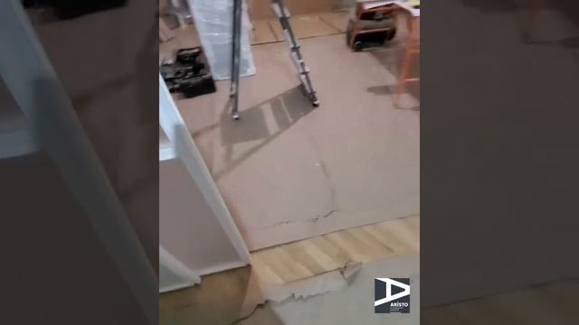 Межкомнатная подвесная перегородка ARISTO смотреть онлайн