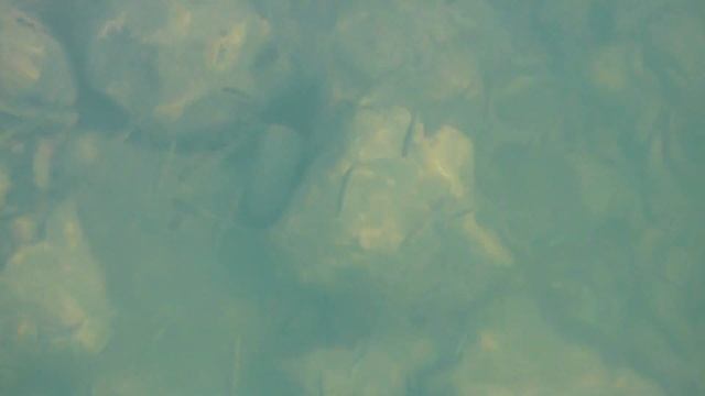 #мост#река#рыбалка ЖД мост. Красивая река. Ловят рыбу. ( Railway bridge. A beautiful river. Fish.) смотреть онлайн