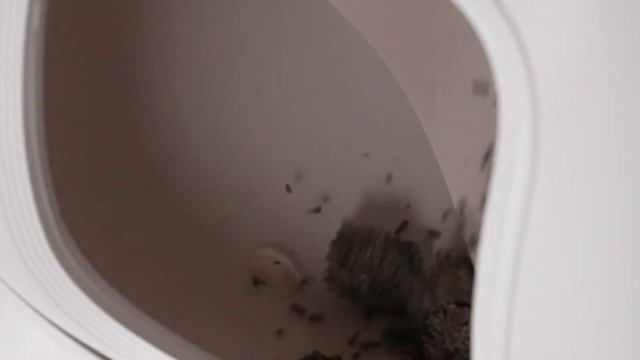 Новый автоматический лоток PURA MAX от PETKIT смотреть онлайн