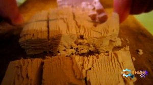 Заморозка Дрожжи = Хранение 1 Год