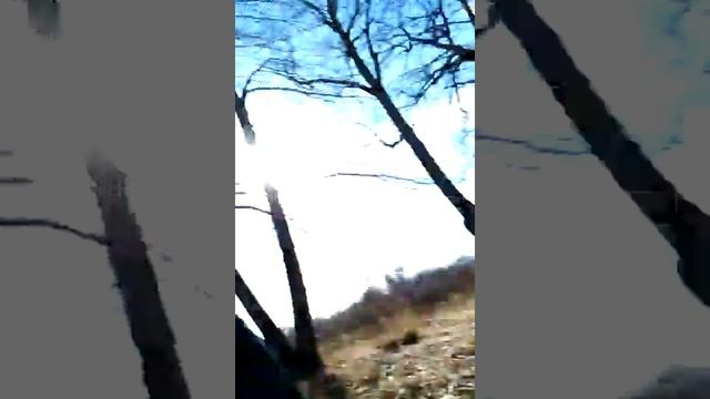 Апрель месяц Нижний парк в городе Пушкин смотреть онлайн