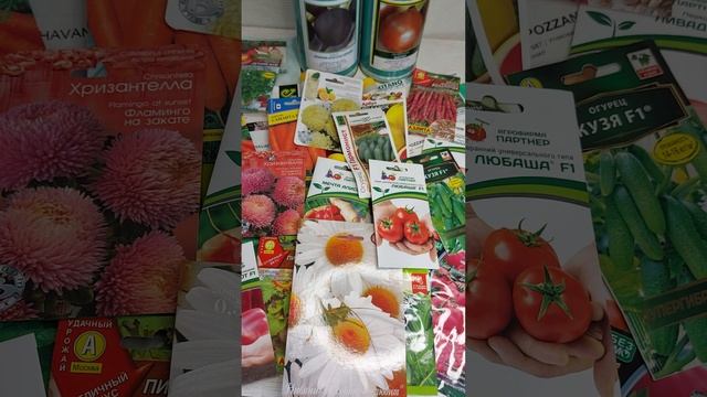 Технологические новшества завтра