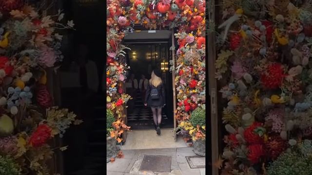 Осенний декор. Вход в один из ресторанов Нориджа, Англия. #shorts #англия #декор #осень #гирлянда смотреть онлайн