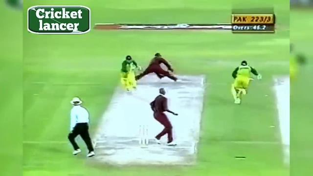 Cornered tigers greatest win | Akram army crushed lara's group | смотреть онлайн
