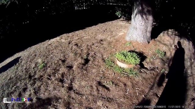 Focusing GITUP GIT2 смотреть онлайн