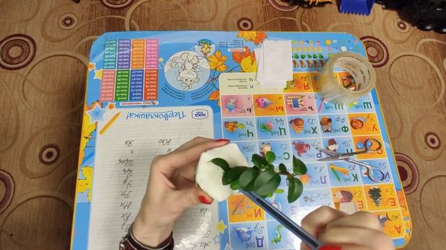 Растения почтой. Надёжный способ упаковки растений.