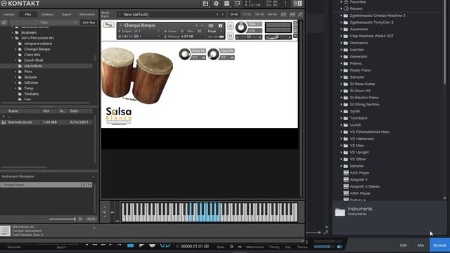 Introducing the Bongo de Monte Virtual Instrument - Authentic Cuban Changüi Bongos! смотреть онлайн