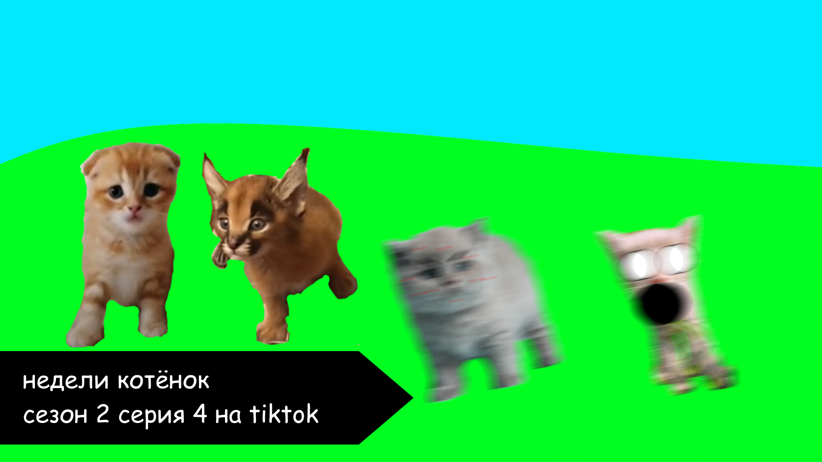 Недели котёнок сезон 2 серия 4 на tiktok смотреть онлайн