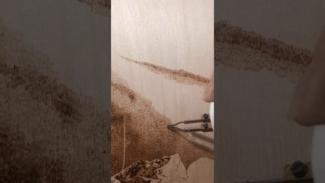 Выжигание пейзажа с горами смотреть онлайн